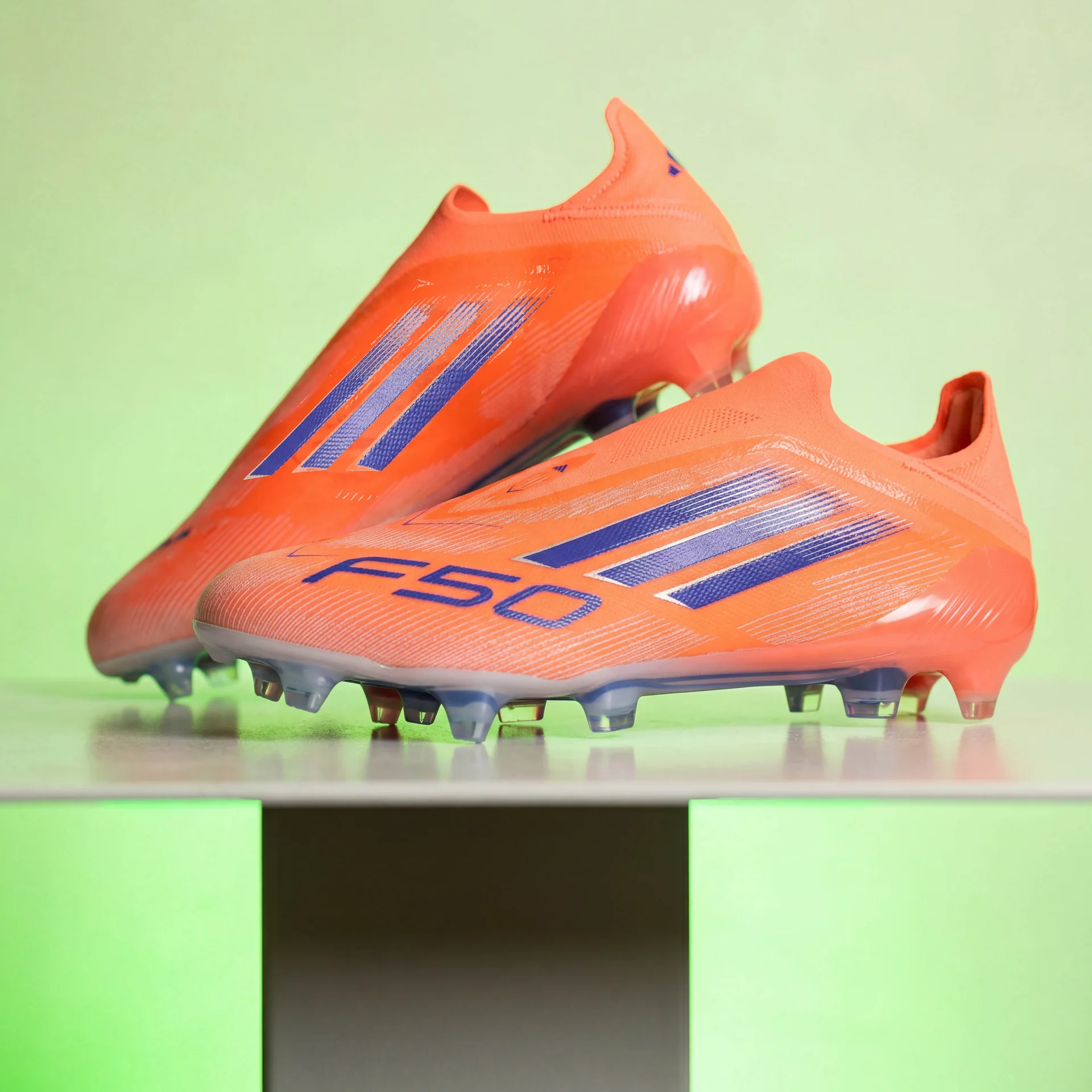 BOTAS FIRMADAS POR ARANA